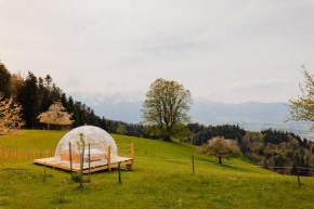 Bubble-Suite inkl. Sonnenuntergang mit blick auf die Alpen Thun
